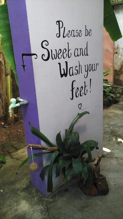 Arabian Soul Bed & Breakfast Varkala Ngoại thất bức ảnh