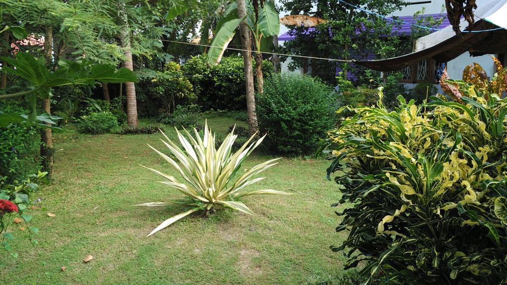 Arabian Soul Bed & Breakfast Varkala Ngoại thất bức ảnh