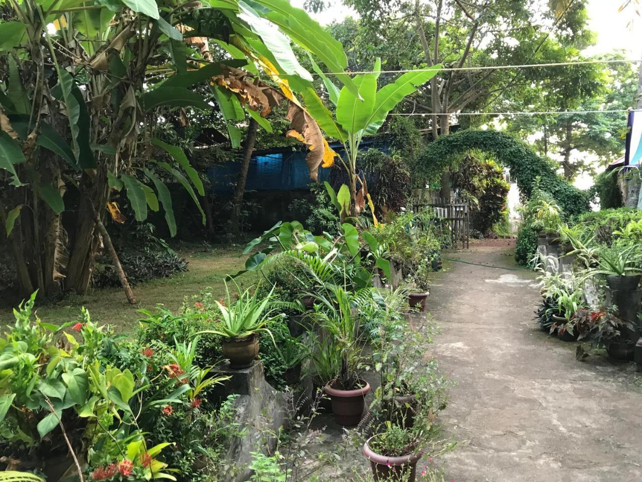 Arabian Soul Bed & Breakfast Varkala Ngoại thất bức ảnh