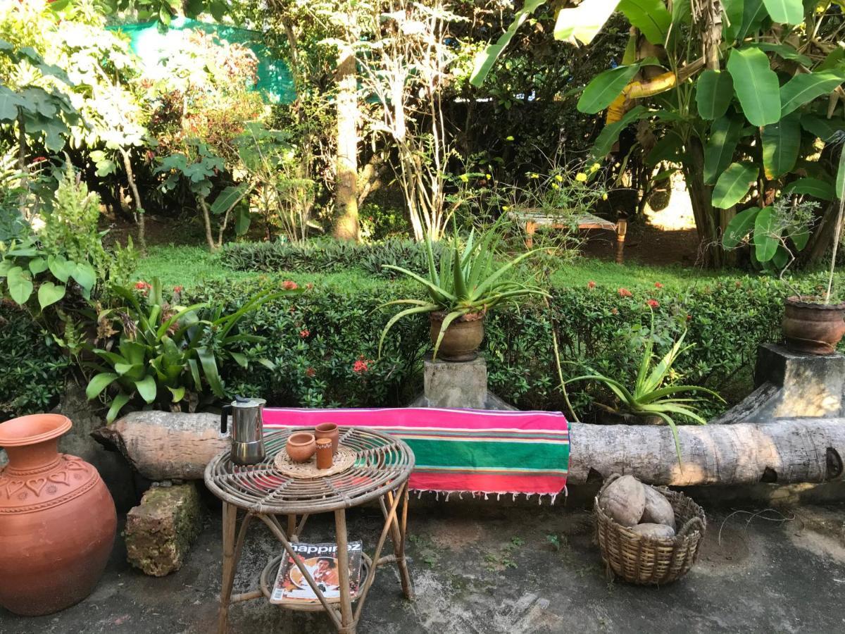 Arabian Soul Bed & Breakfast Varkala Ngoại thất bức ảnh
