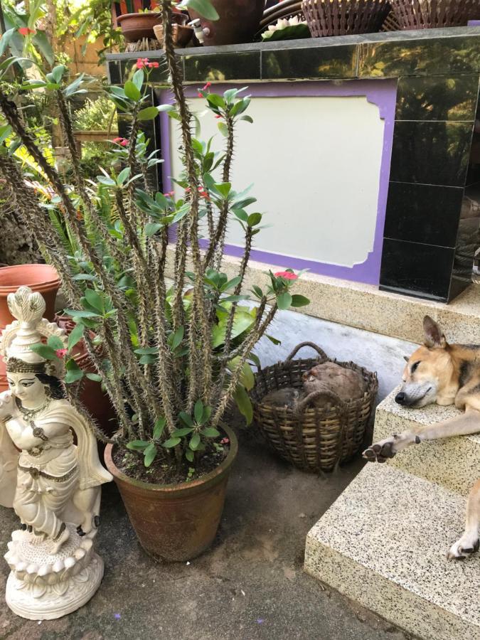 Arabian Soul Bed & Breakfast Varkala Ngoại thất bức ảnh